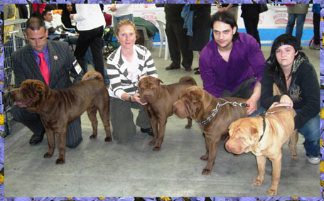 Cocoa, Hera y sus peques, Aten y Rufo