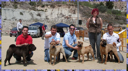 Varios Dragones de Koshi en Igualada