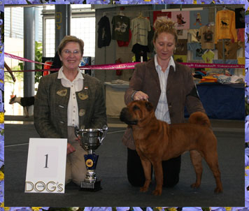 Juez Sra. Ilona Onstenk Schenk otorgando a Vicky el BIS Monográfica Molosoides 2007