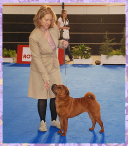 Svejii Veter Rainbow Victories for Nantou