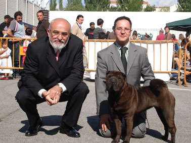 Fibi Black C-C del Dragon de Koshi