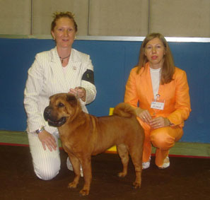 Ch. Svejii Veter Rainbow Victories for Nantou