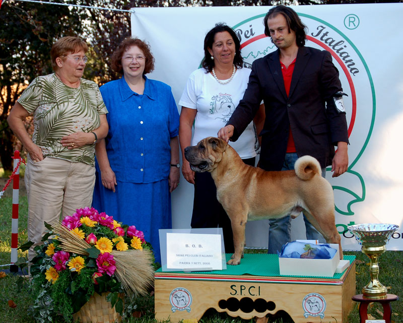 Multi Ch. Khambaliq-Margem True Style